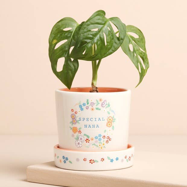 Floral Nana Plant Pot with Tray